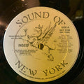 Indeep – The Record Keeps Spinning - Sound Of New York – SNY 5109 - 12” PROMO NM