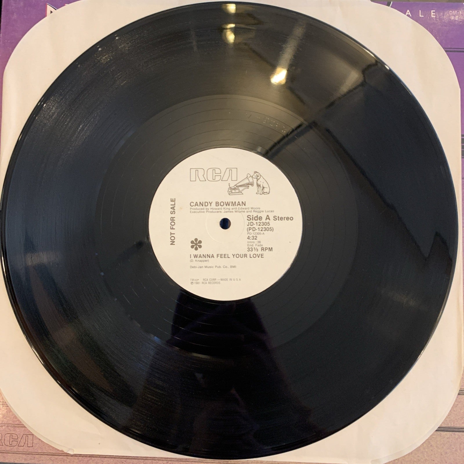 Candy Bowman – I Wanna Feel Your Love - 12” Promo RCA JD-12305 - Near Mint+