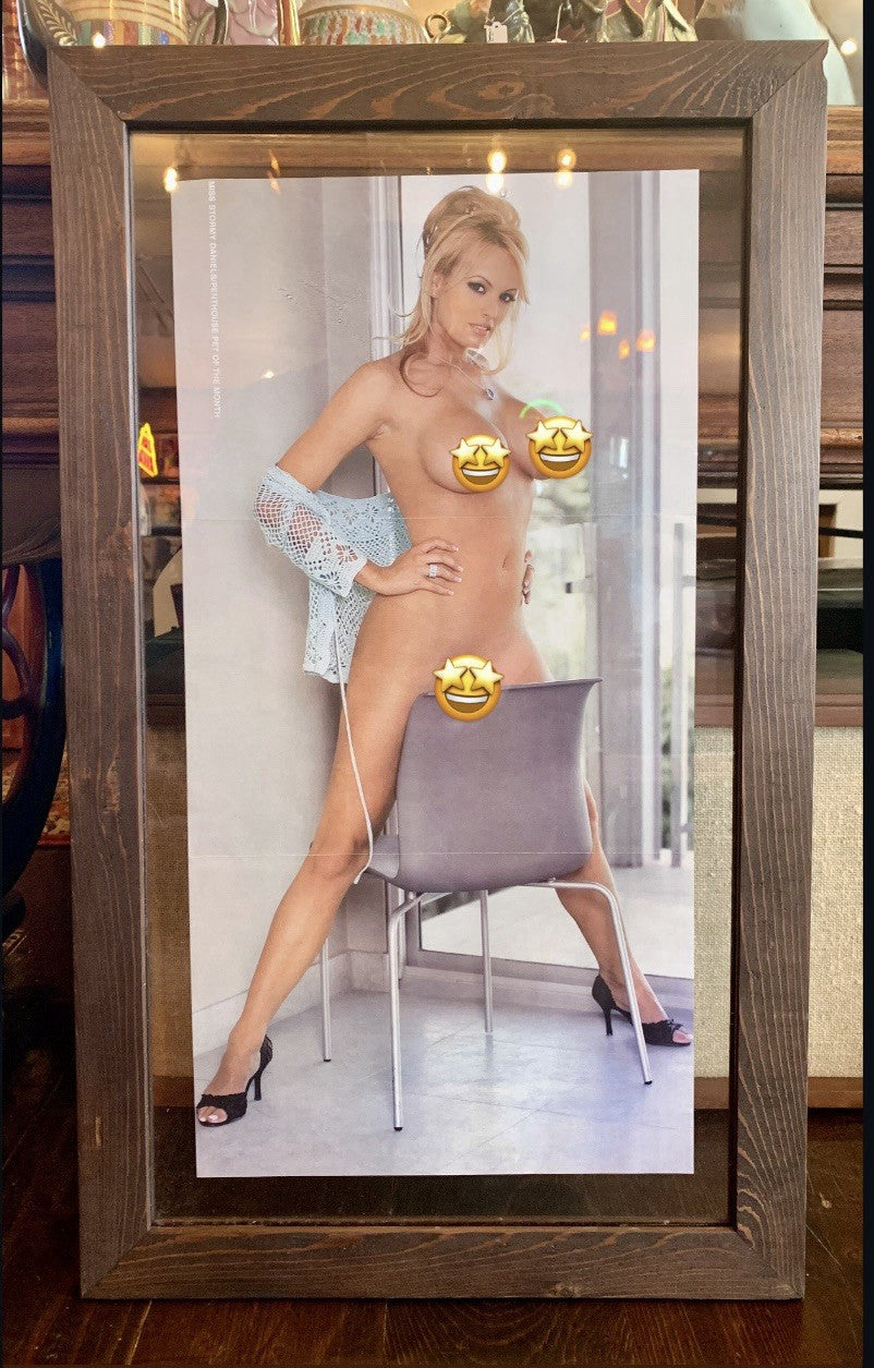 Stormy Daniels - Framed Archival Print - 15.5” x 26.5” - Donald Trump