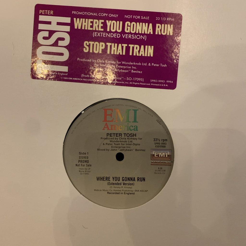 Peter Tosh ‎– Where You Gonna Run / Stop That Train - 12” Promo - NEAR MINT+