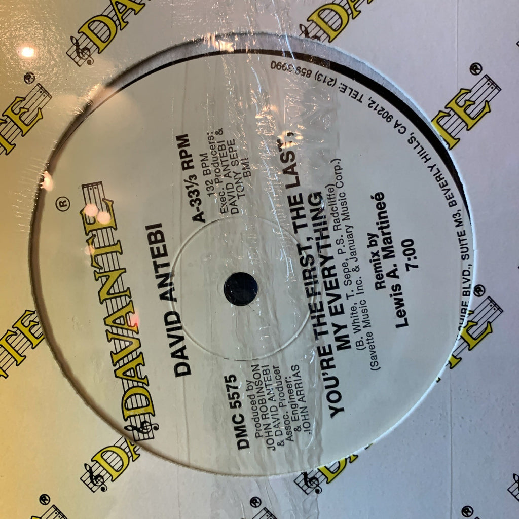 David Antebi ‎– You're The First, The Last, My Everything -  Hype! ‎– SEALED