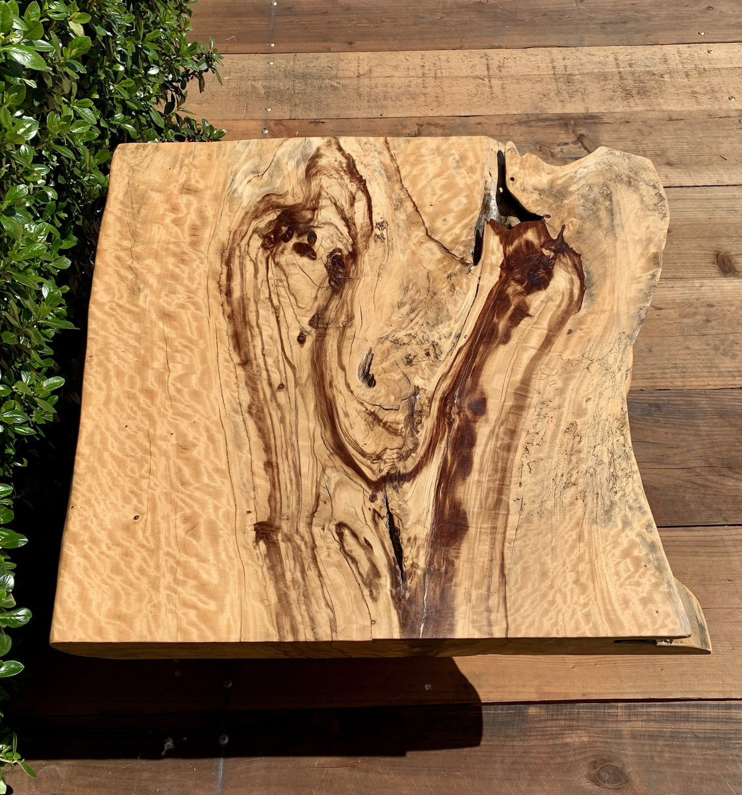 Live Edge Tamarind Wood Coffee Table From Bali
