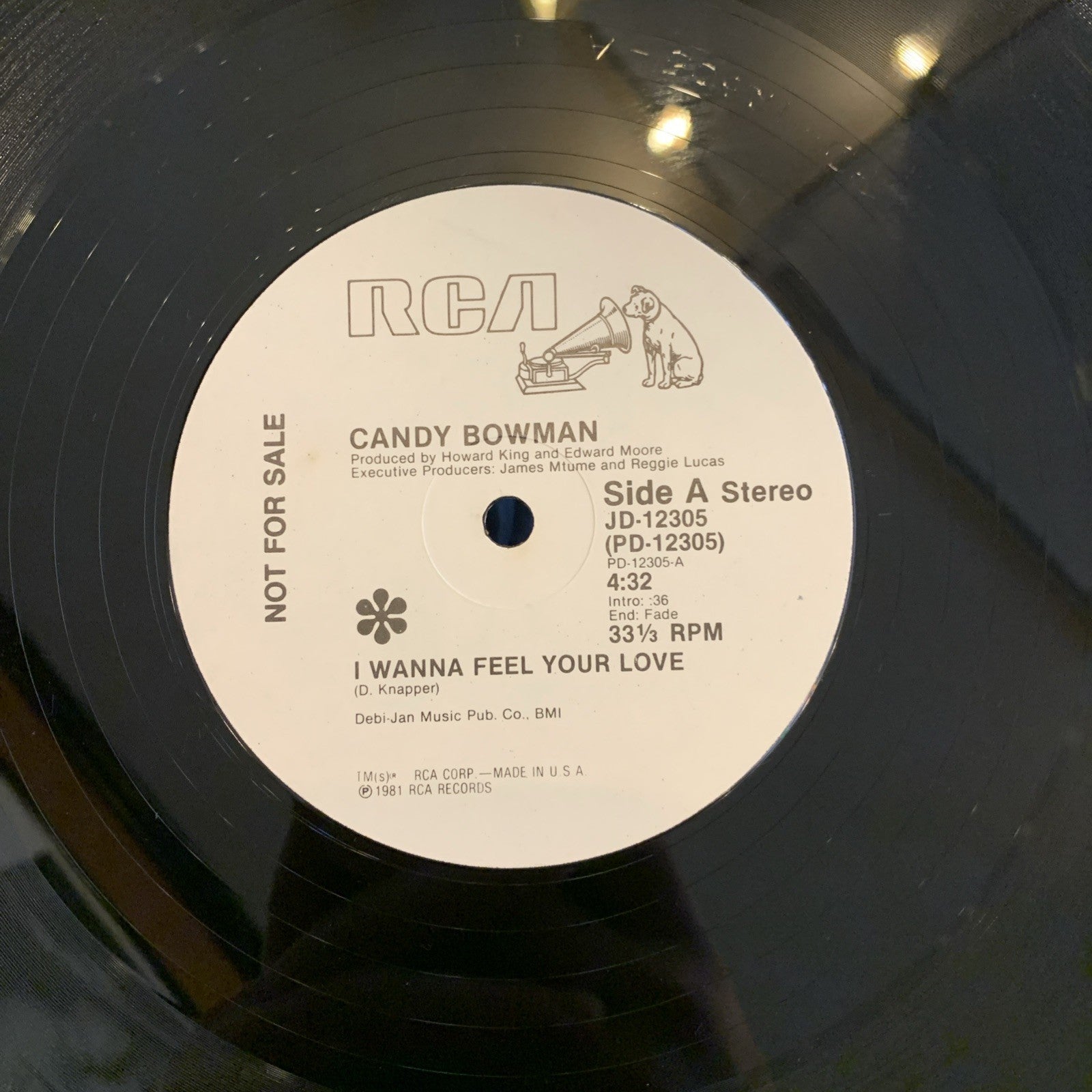 Candy Bowman – I Wanna Feel Your Love - 12” Promo RCA JD-12305 - Near Mint+