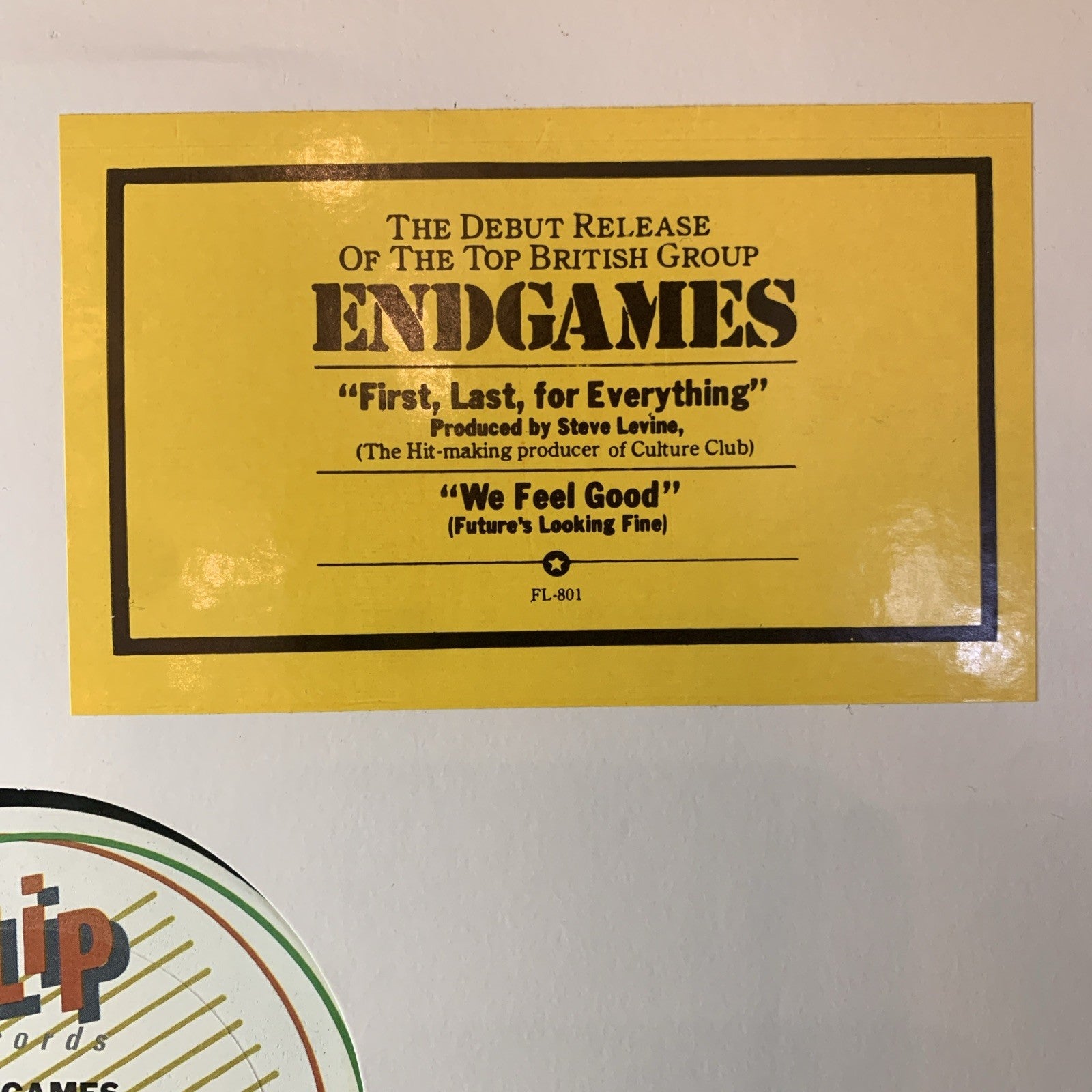 Endgames – First-Last-For Everything - Flip Records – FL 801 - 12” Promo NM(M-)