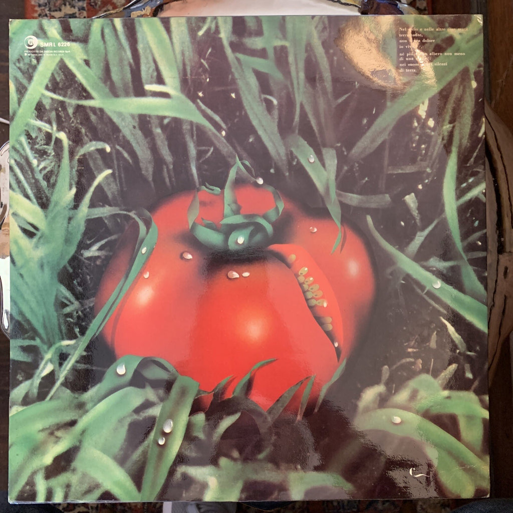 Banco - …di terra - OG Italian 1st Press - EXNM