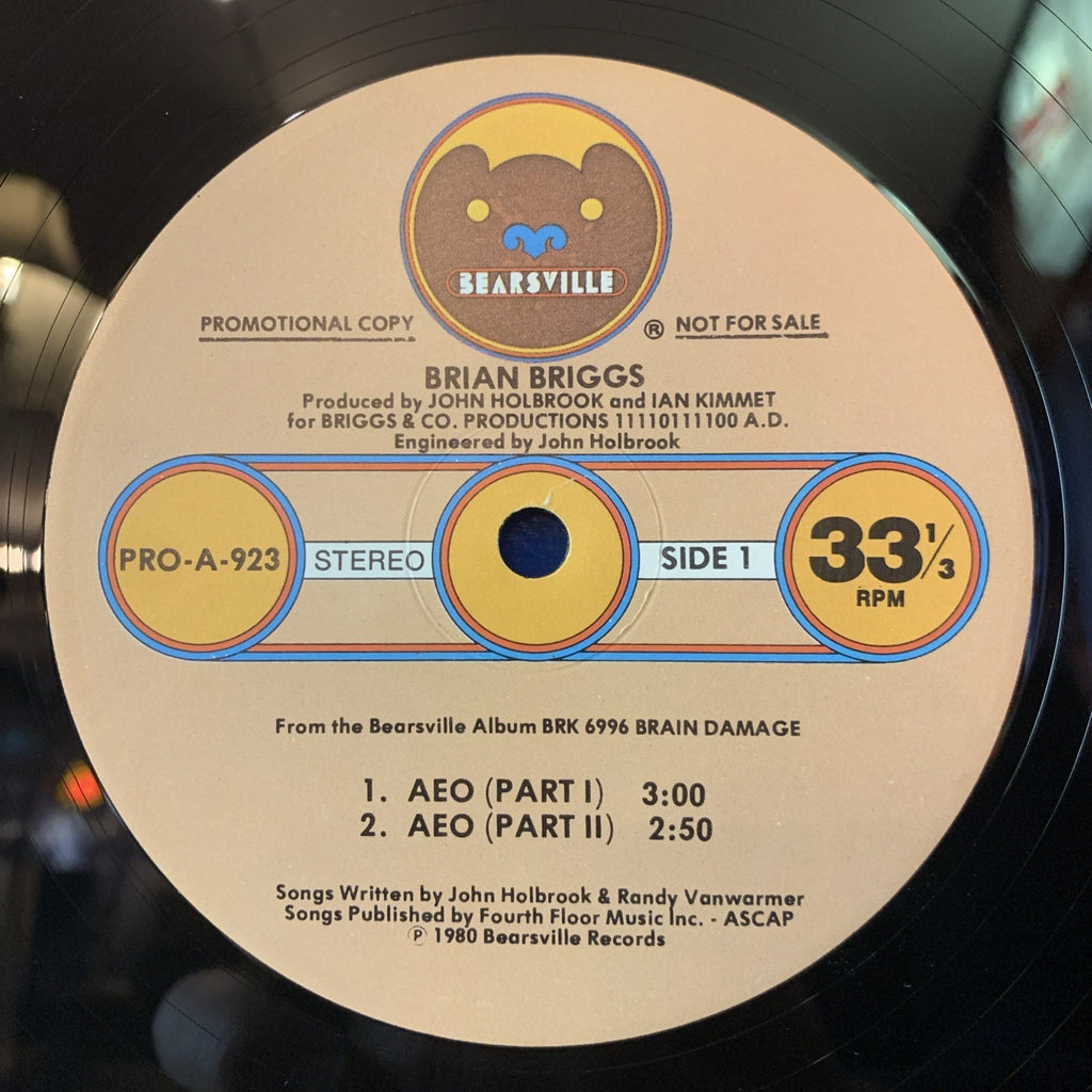Brian Briggs ‎– Special Sampler (Selected Music From Brian Damage) - PROMO - NM