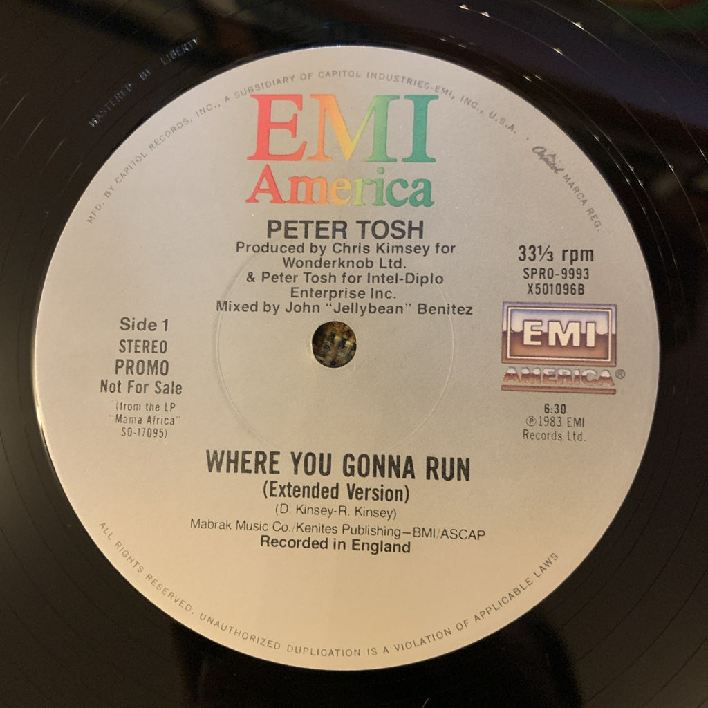 Peter Tosh ‎– Where You Gonna Run / Stop That Train - 12” Promo - NEAR MINT+