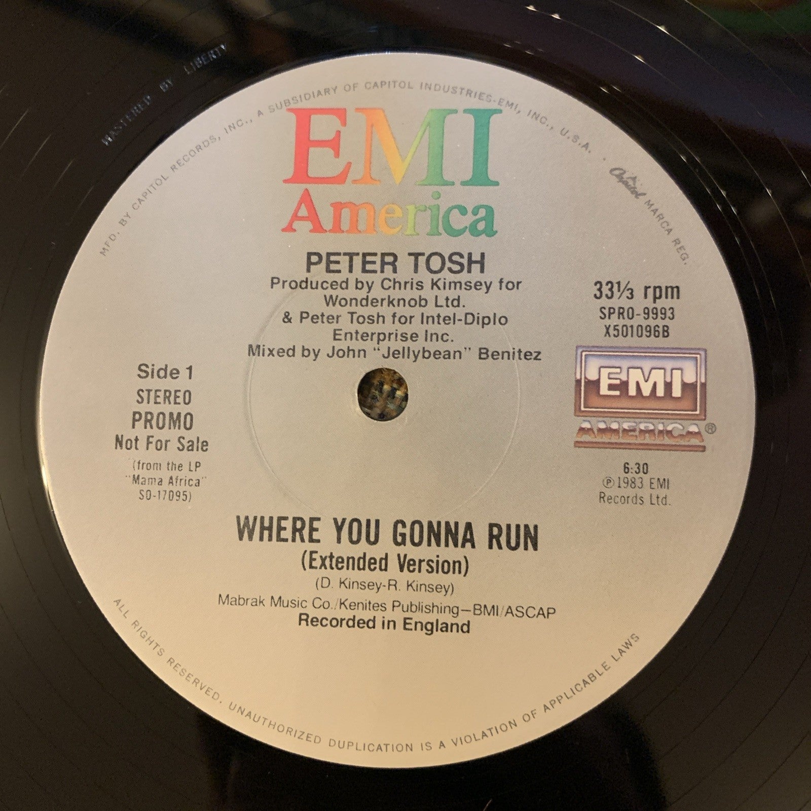 Peter Tosh ‎– Where You Gonna Run / Stop That Train - 12” Promo - NEAR MINT+