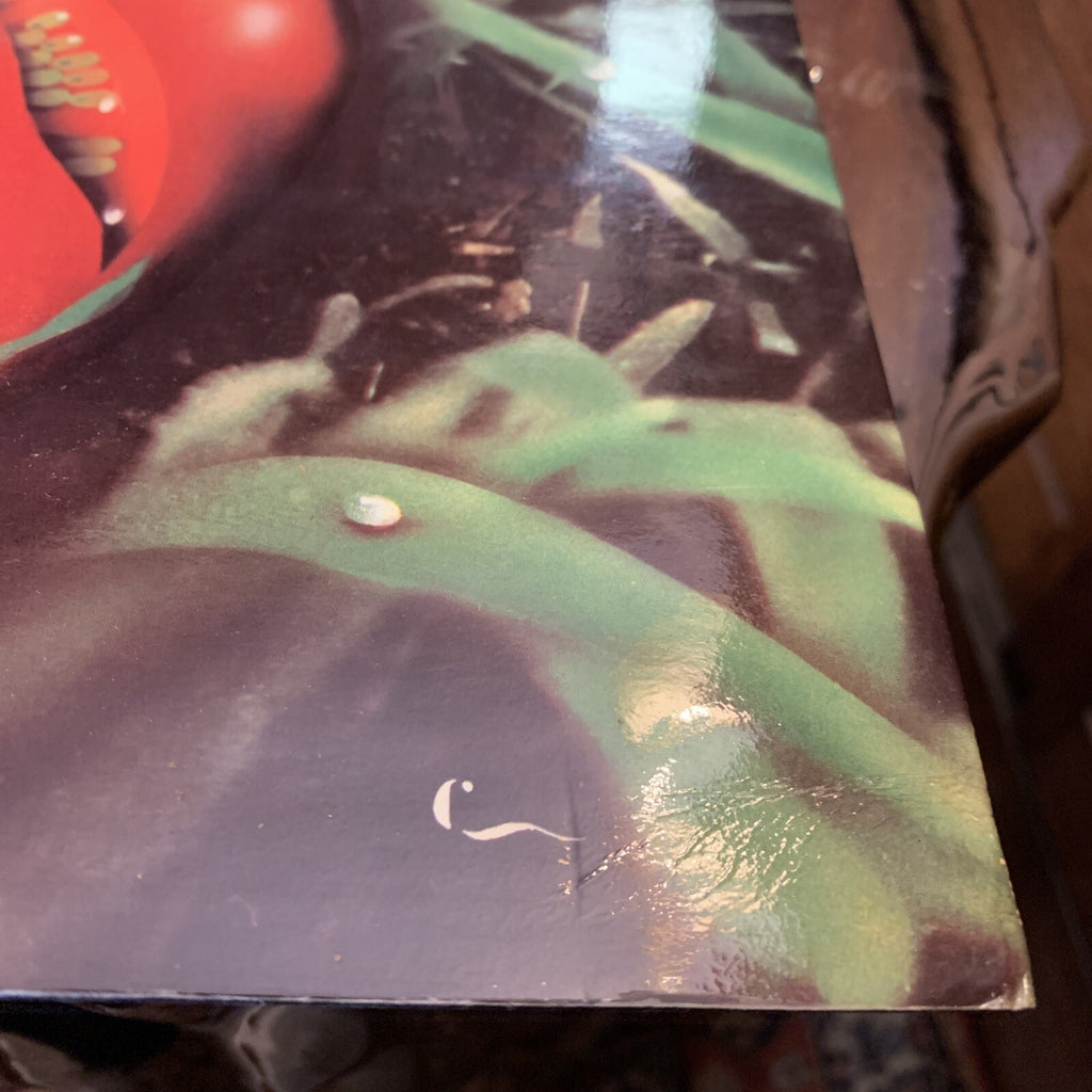 Banco - …di terra - OG Italian 1st Press - EXNM
