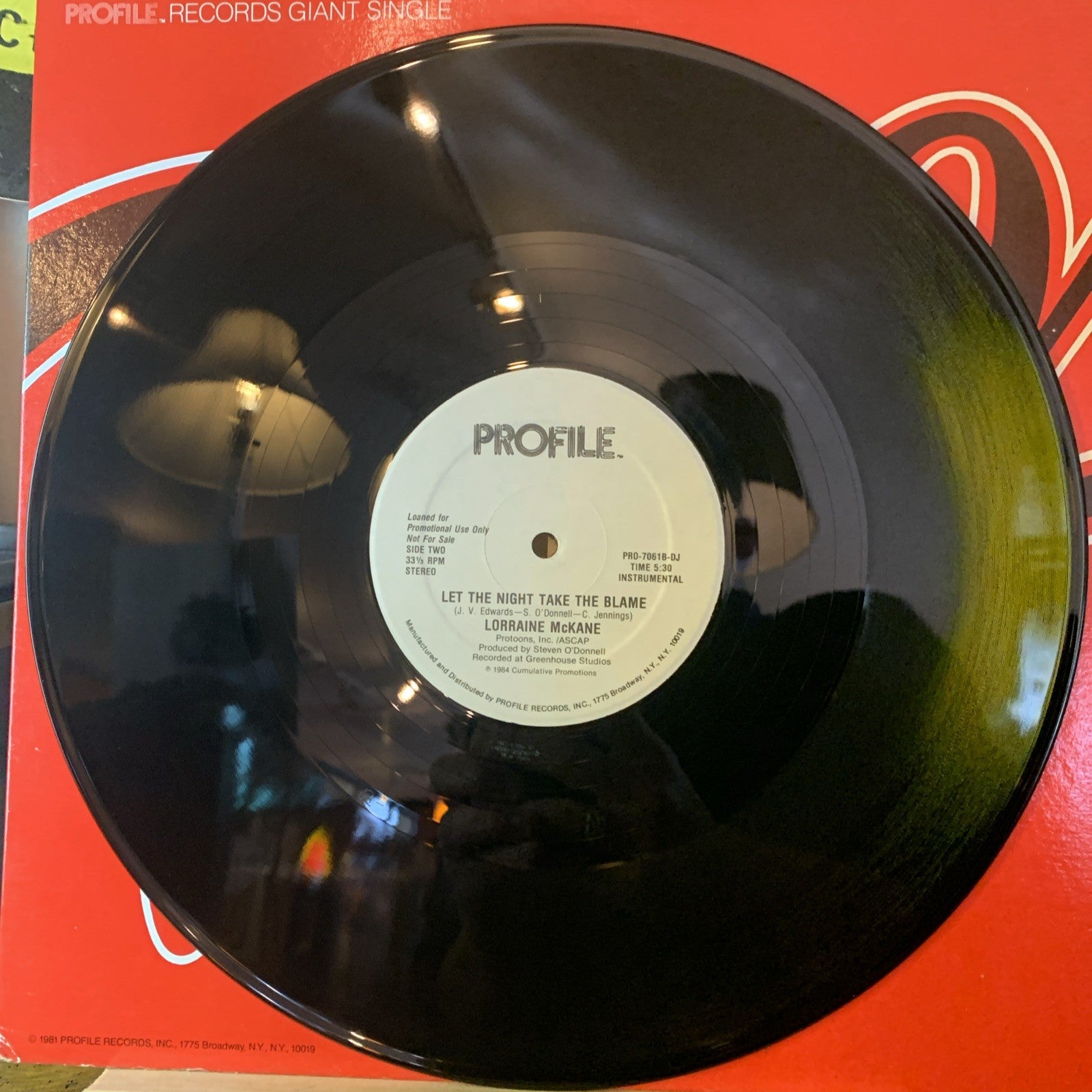 Lorraine McKane ‎– Let The Night Take The Blame - 12” PROMO - EX/NM