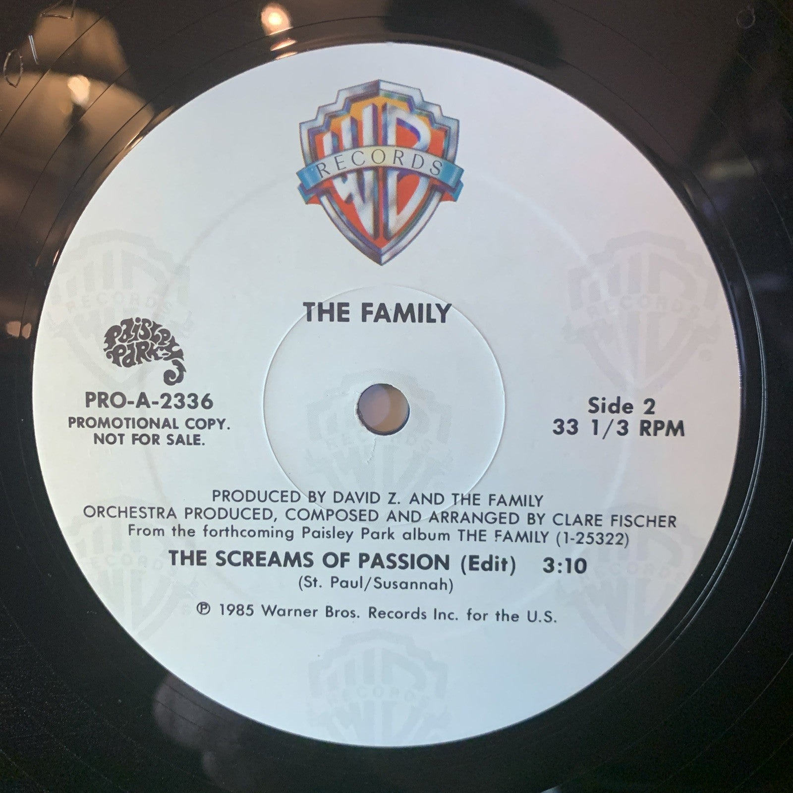The Family – The Screams Of Passion - Paisley Park – PRO-A-2336 - 12” Promo - NM
