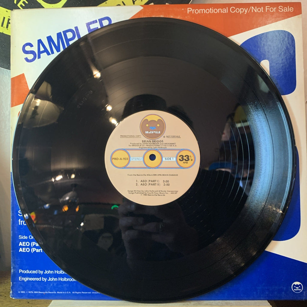 Brian Briggs ‎– Special Sampler (Selected Music From Brian Damage) - PROMO - NM