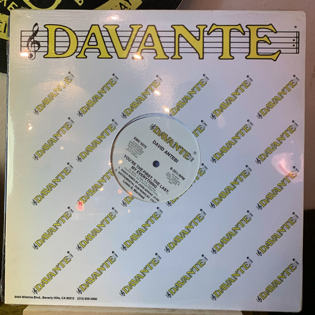 David Antebi ‎– You're The First, The Last, My Everything -  Hype! ‎– SEALED