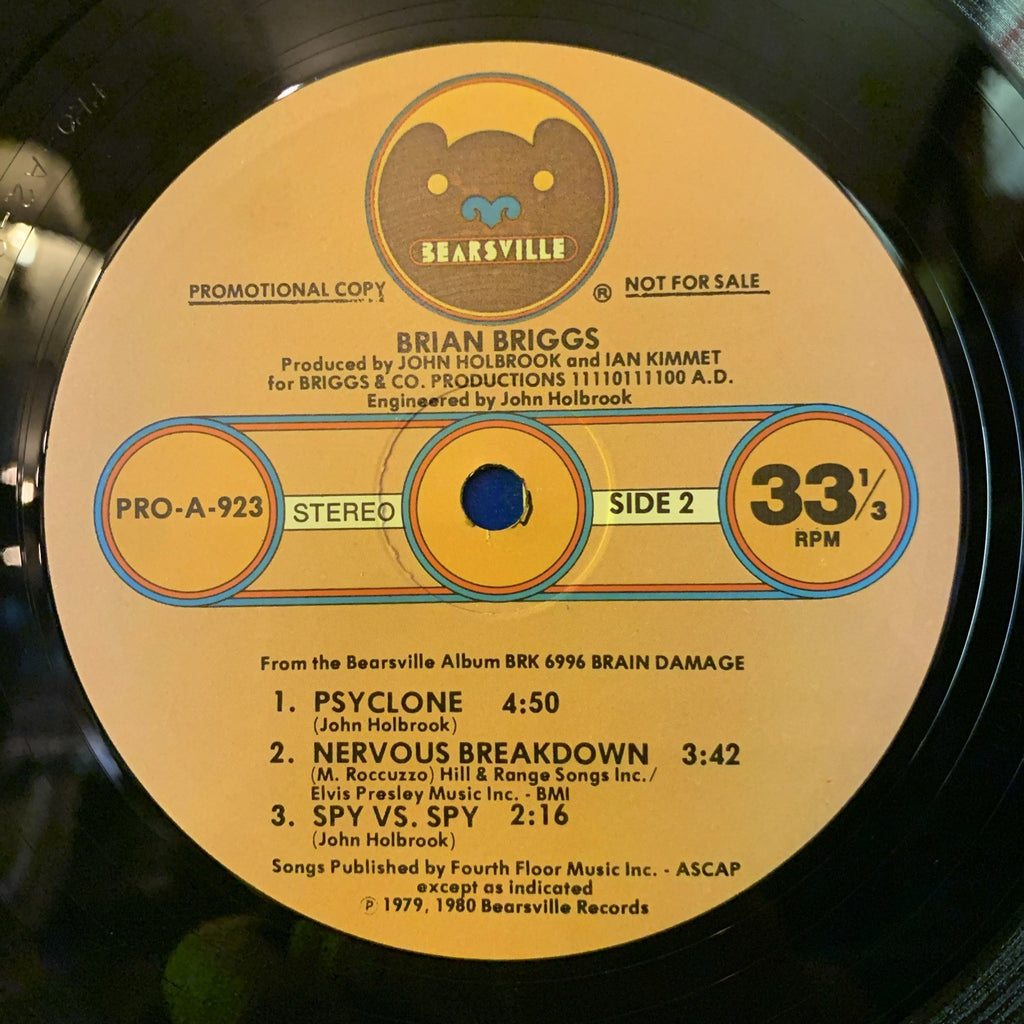 Brian Briggs ‎– Special Sampler (Selected Music From Brian Damage) - PROMO - NM